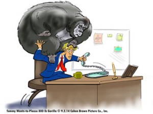 The 800-lb Gorilla